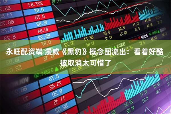 永旺配资端 漫威《黑豹》概念图流出：看着好酷 被取消太可惜了