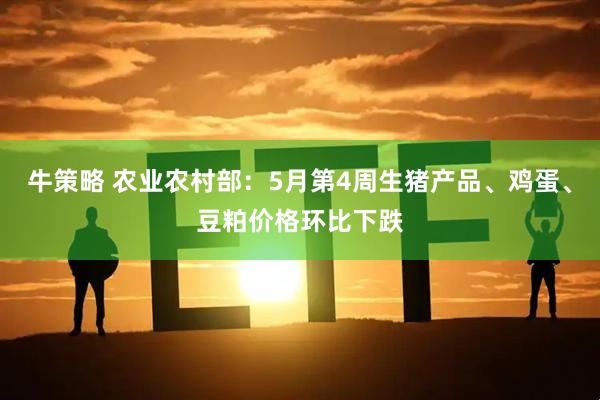 牛策略 农业农村部：5月第4周生猪产品、鸡蛋、豆粕价格环比下跌