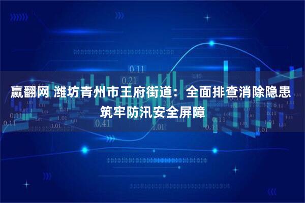 赢翻网 潍坊青州市王府街道：全面排查消除隐患 筑牢防汛安全屏障
