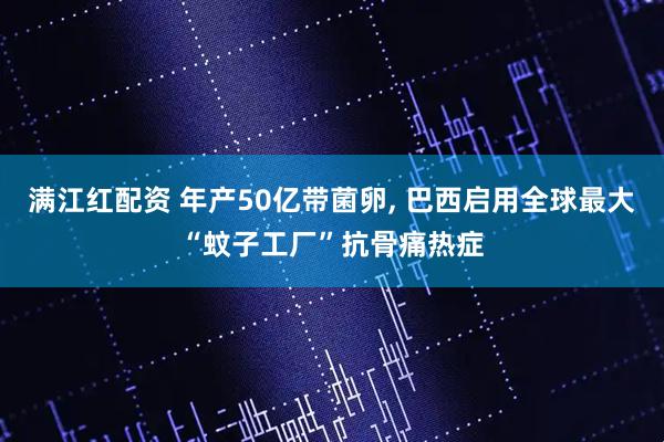 满江红配资 年产50亿带菌卵, 巴西启用全球最大“蚊子工厂”抗骨痛热症