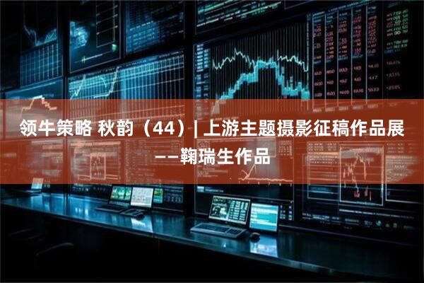 领牛策略 秋韵（44）| 上游主题摄影征稿作品展——鞠瑞生作品