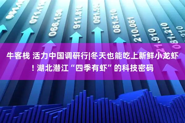 牛客栈 活力中国调研行|冬天也能吃上新鲜小龙虾! 湖北潜江“四季有虾”的科技密码