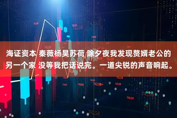 海证资本 秦薇杨昊苏荷 除夕夜我发现赘婿老公的另一个家 没等我把话说完。一道尖锐的声音响起。